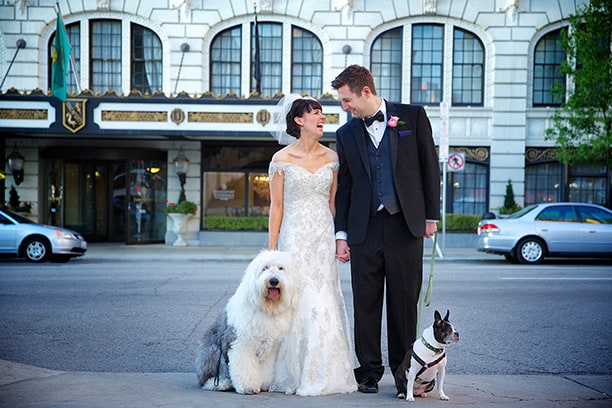 Bride and Groom Kissing in front of Hotel with dogs