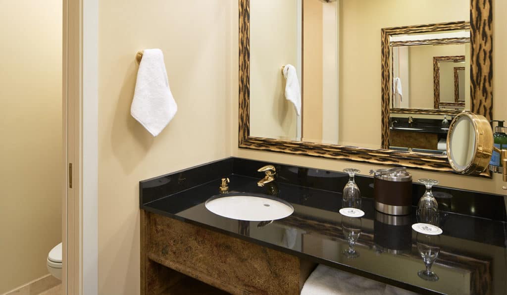 Bathroom | Standard Room | Davenport Tower