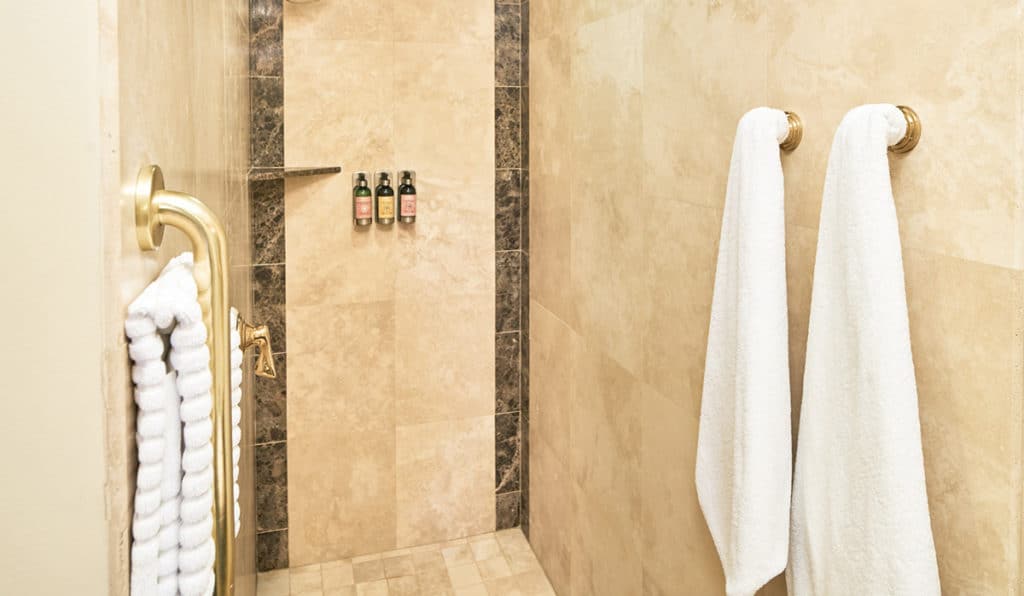 Shower with hanging towels | Circus Room | Historic Davenport