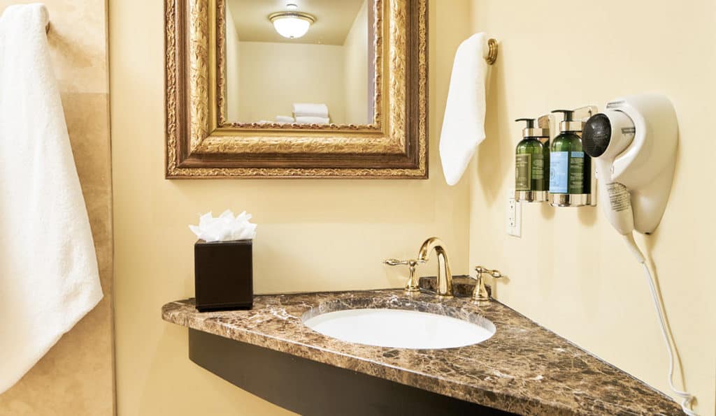 Bathroom Sink | Circus Room | Historic Davenport